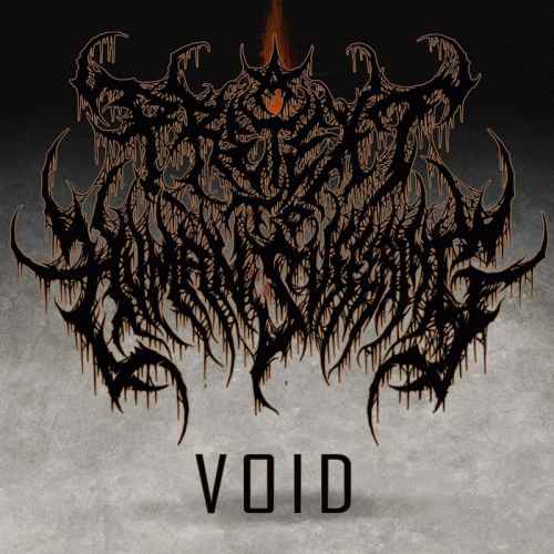 A Pretext To Human Suffering : VOID
